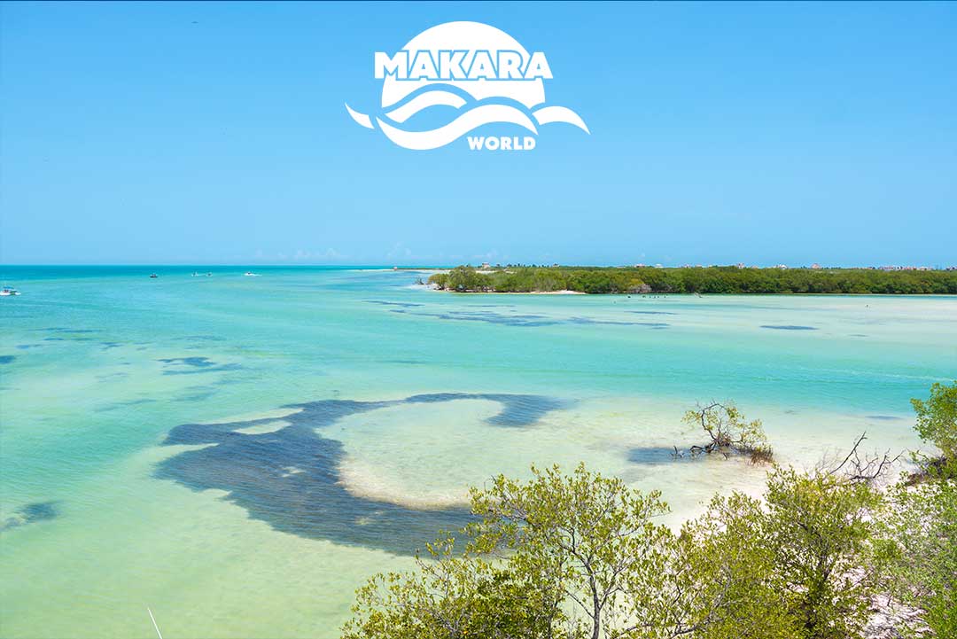 isla-de-hollbox-riviera-maya